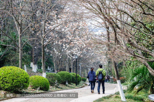 園林景觀