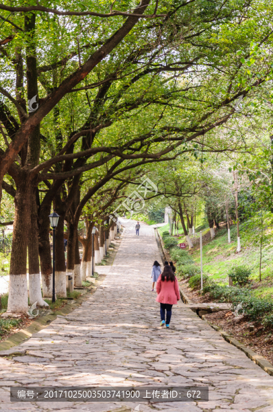 公園山道