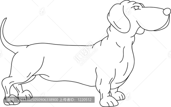 孤立的
