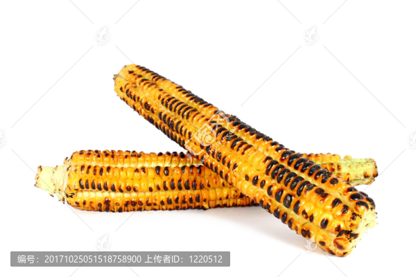 玉米芯玉米芯分離燒烤烤玉米