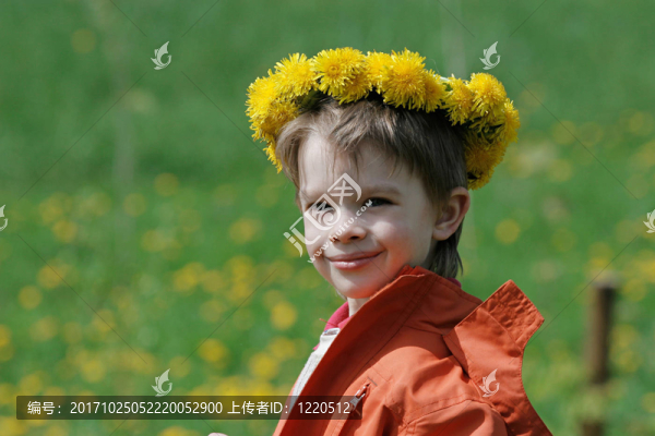夏花草甸兒童男孩花環(huán)蒲公英畫像
