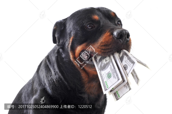貨幣