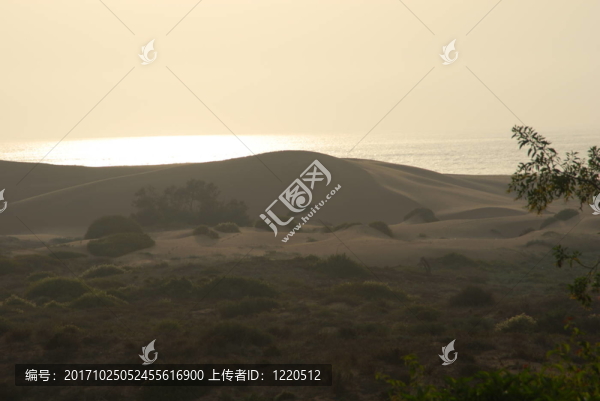 沙丘和海灘
