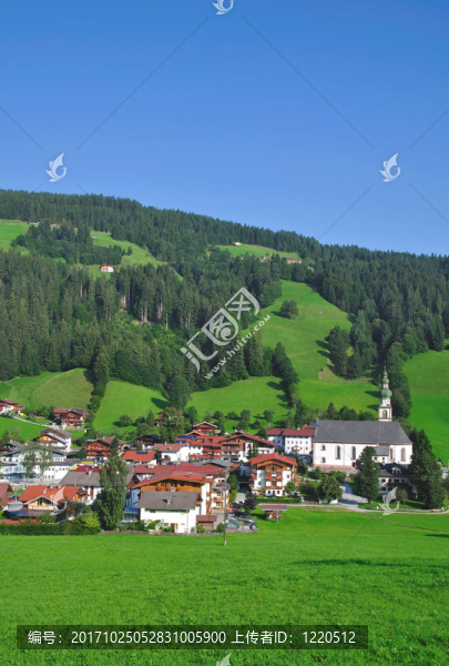 奧伯勞在wildschnau