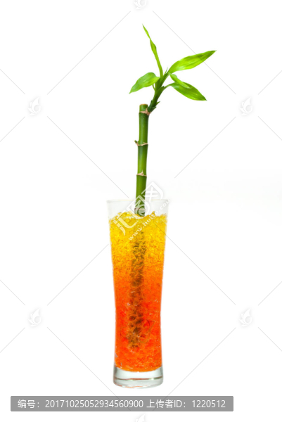 杯