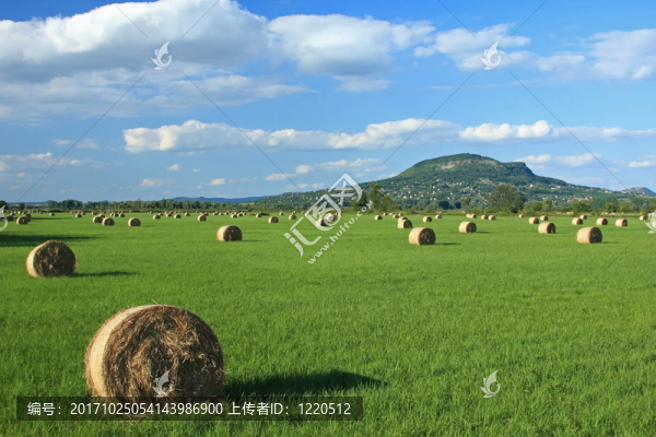 夏天