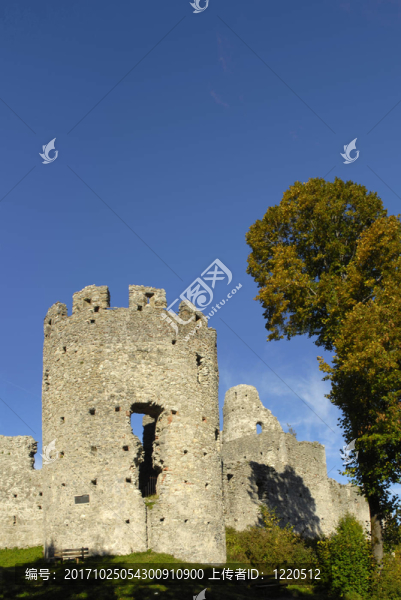 burgruine,hohenfreyberg