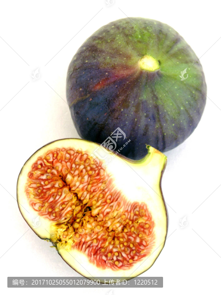 無(wú)花果（無(wú)花果）
