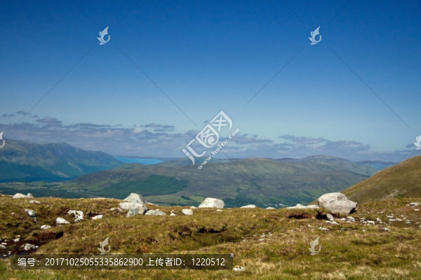 山