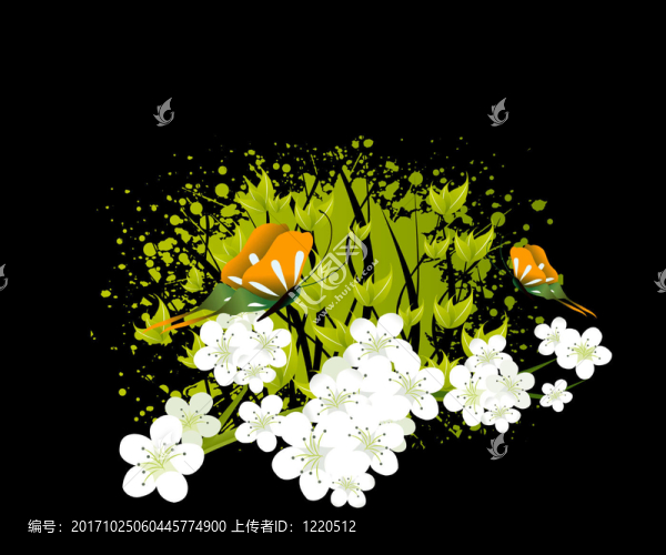 美麗的