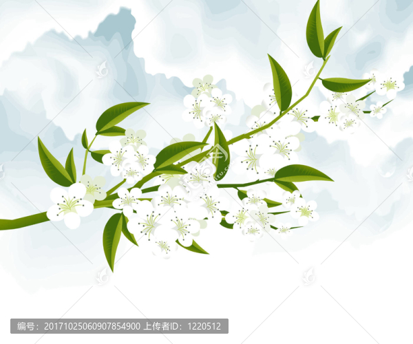 植物學(xué)