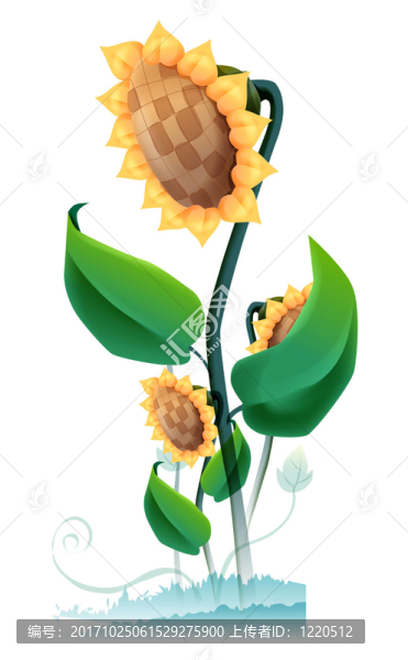 花卉