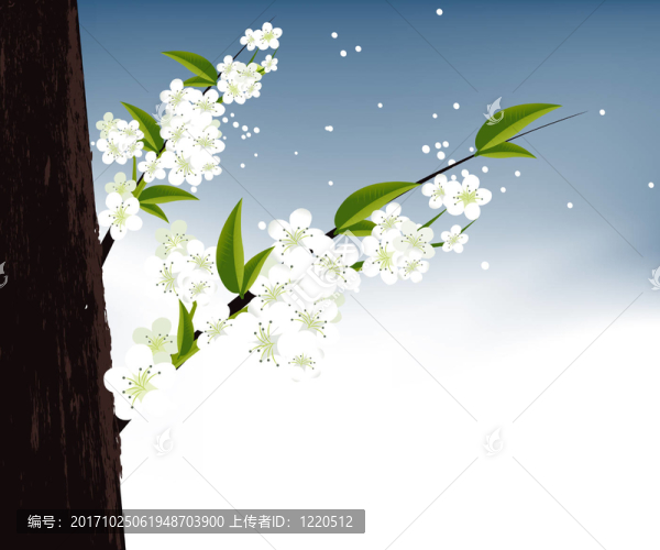 美麗的