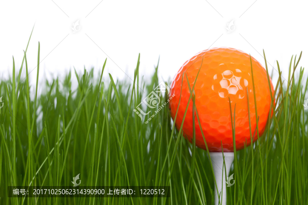 高爾夫球運(yùn)動(dòng)