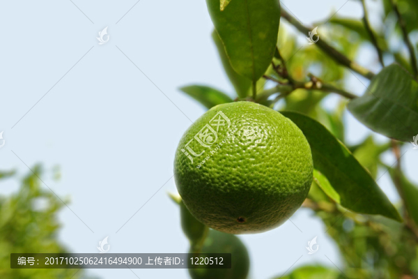 石灰