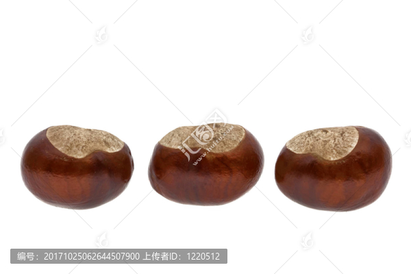在秋天.....................栗子