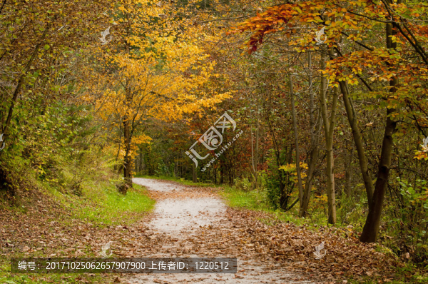 herbstgefl？韋伯斯特