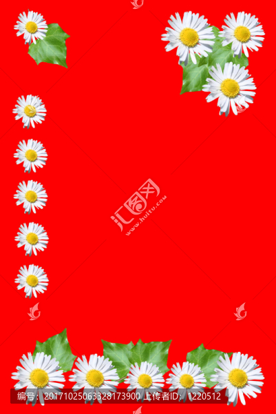 雛菊和常春藤的葉子