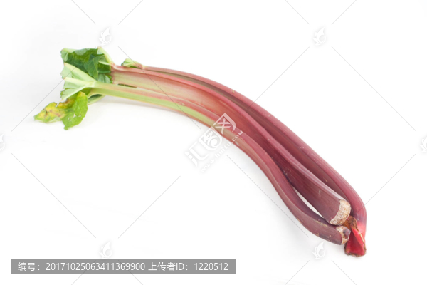 桿大黃