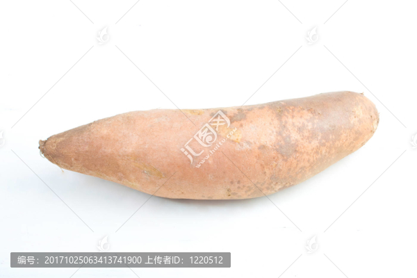 孤立的紅薯