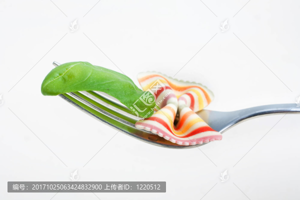 羅勒叉上的五顏六色的蝴蝶