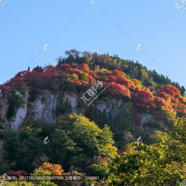 山嶺秋色