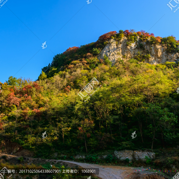 大山秋色