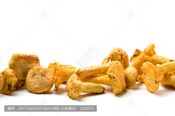食品