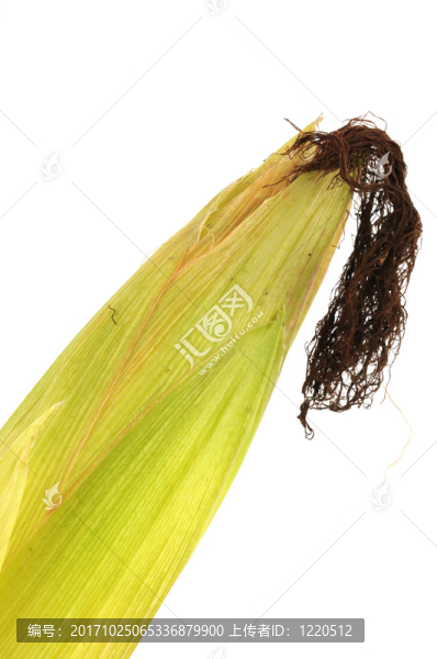 玉米