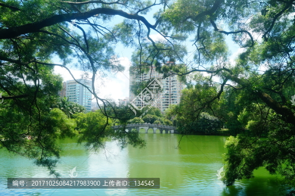 湖泊池塘風(fēng)光