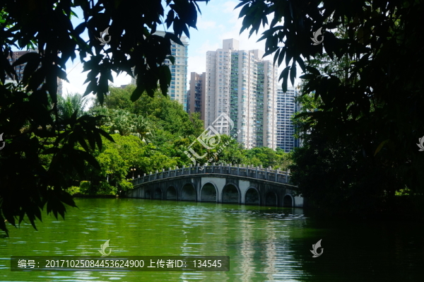 湖泊池塘風光