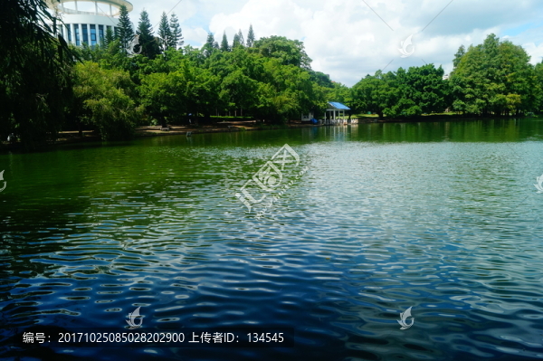 湖泊池塘風(fēng)光