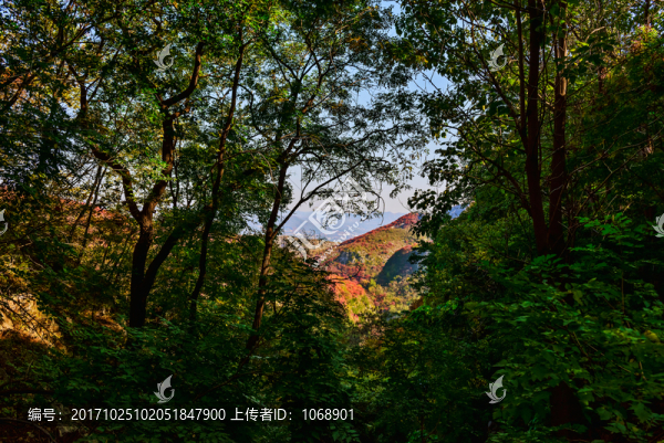 山林秋色