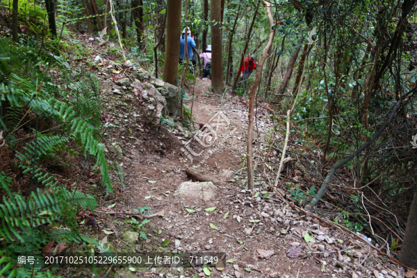 山林小路戶外探險(xiǎn)驢友