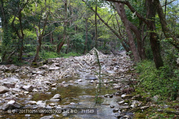 山澗溪流河道