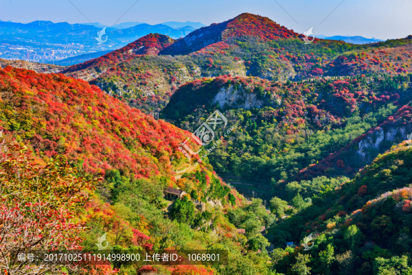 大山秋色