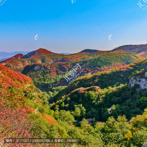 大山秋色