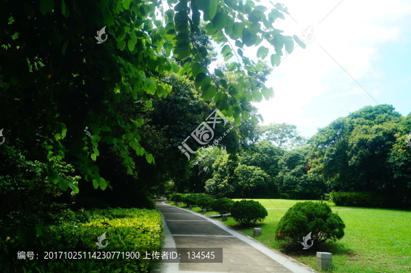 公園綠化帶景觀