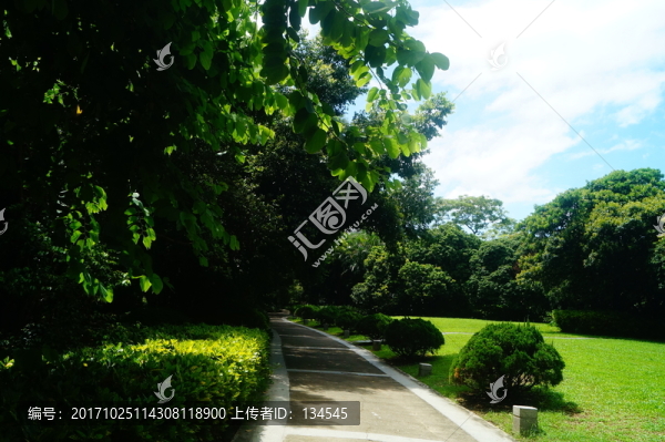 公園綠化景觀