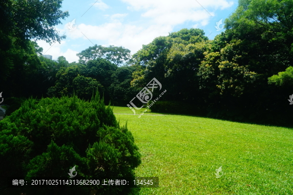 公園綠化景觀