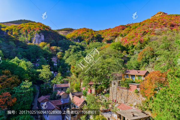 山村秋色