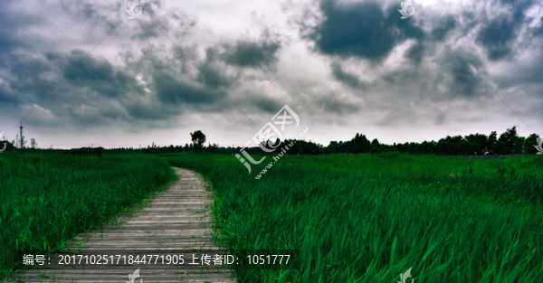 原野