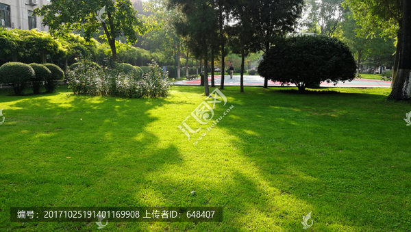 綠地,草坪,草地,陽光,環(huán)境