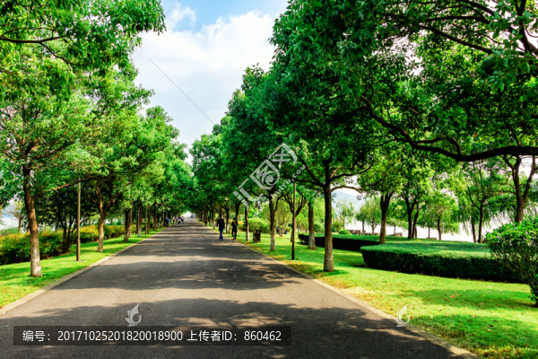 綠道