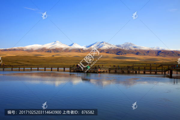 新疆河流風景