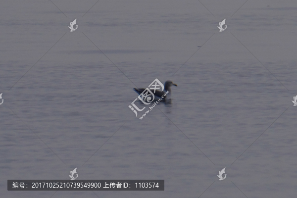 煙臺(tái)棧橋日出,（41）
