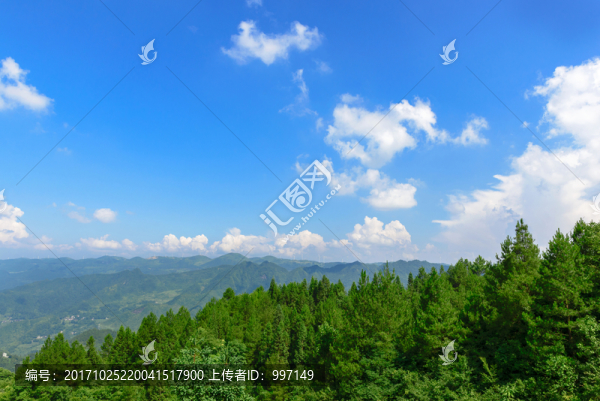 山