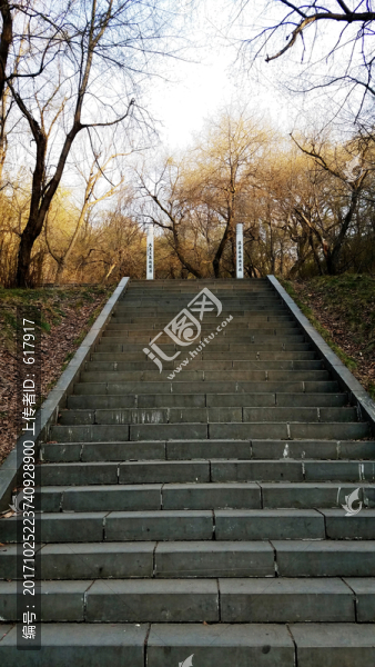 山路,小道,臺(tái)階