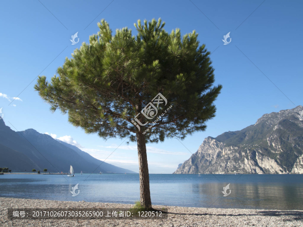 gardasee