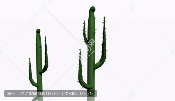 插圖